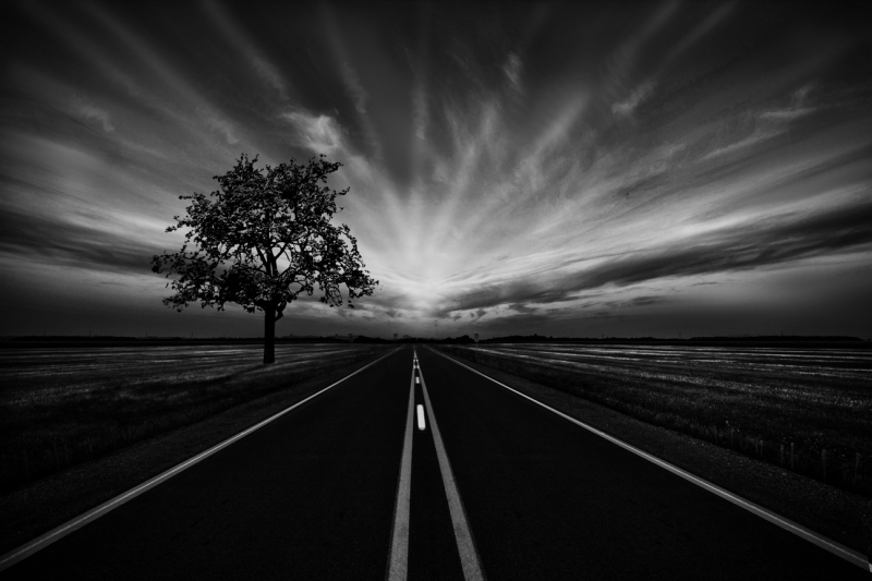 Long-Straight-Road-and-Tree