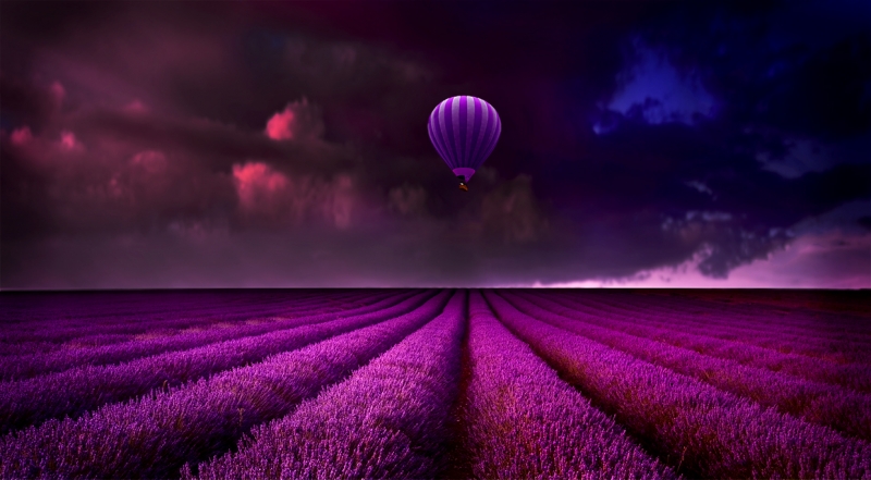 Lavender Balloon