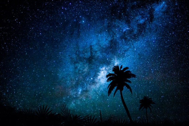 Milky-Way-Palm-sm