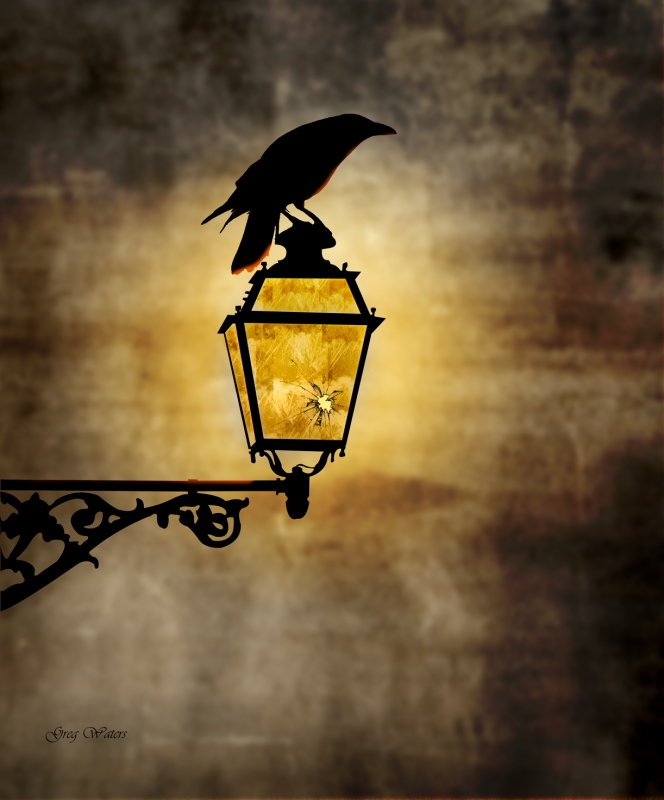 Raven-Lamp-sm