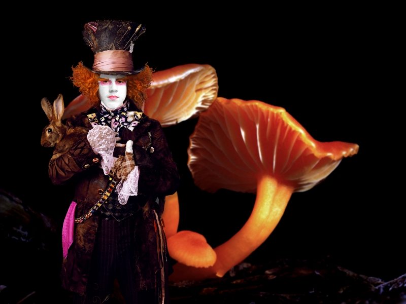Chris-Mad-Hatter